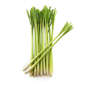 Aceite Esencial Lemongrass