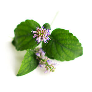 Aceite Esencial Patchouli