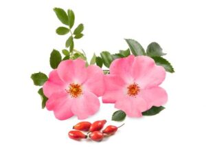 Aceite vegetal Rosa Mosqueta