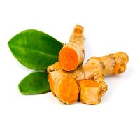 Planta Cúrcuma