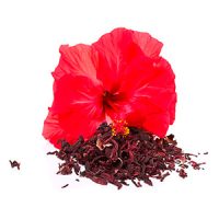 planta Flor de Jamaica (1)